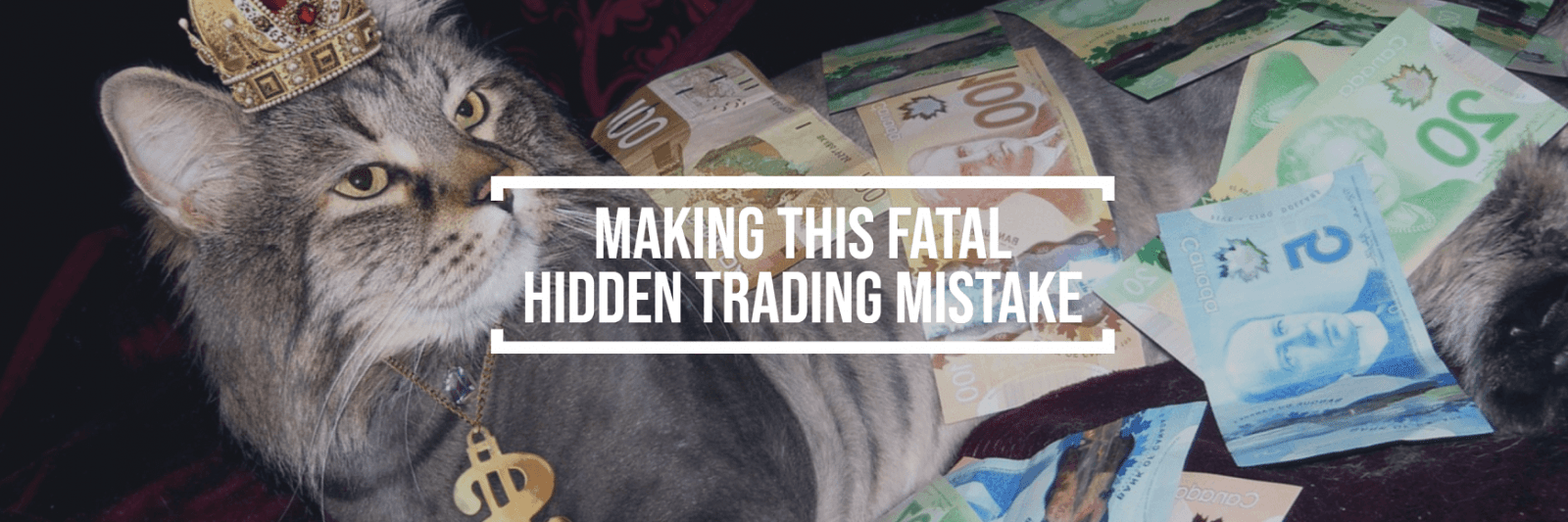Evite este error fatal de trading Evite este error fatal de trading